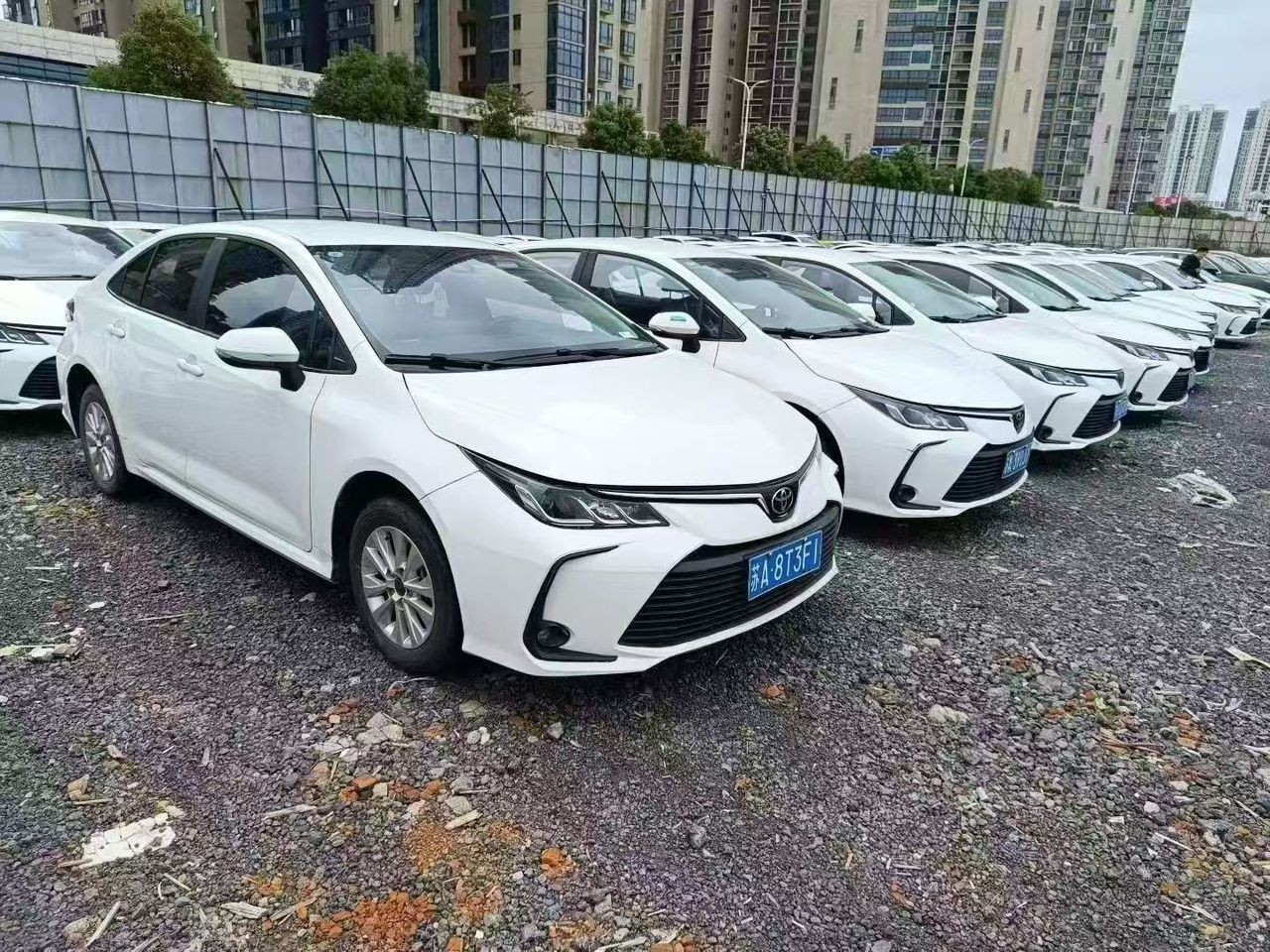 2023 Toyota Corolla 1.2T Hybrid Used Car